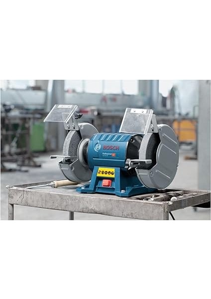 Professional Gbg 60-20 Taş Motoru (600 W, Disk Çapı: 200 Mm, 3.600 Dev/dak) fiyatları