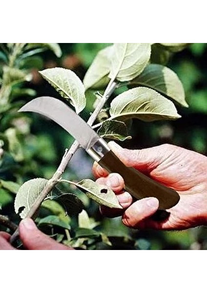 Bıçağı Eğri Uçlu Ara Çakı Bağ Bıçağı Paslanmaz Çelik Plastik Saplı Katlanır Bıçak 22 cm fırsatları