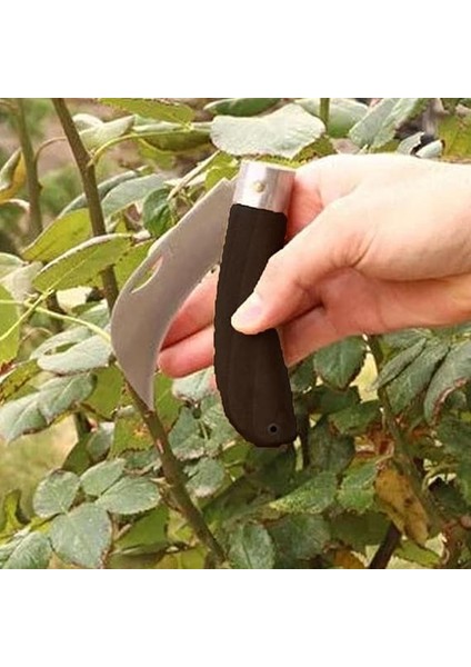 Bıçağı Eğri Uçlu Ara Çakı Bağ Bıçağı Paslanmaz Çelik Plastik Saplı Katlanır Bıçak 22 cm indirimleri