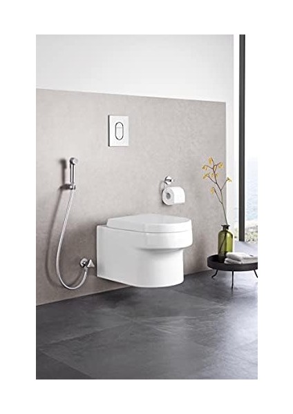 -F Spreyi Için El Duşu 1 Akışlı- 27512001 fiyatları