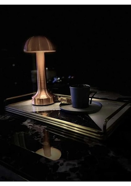 Masa Lambası CT-8430 Tek Anahtarla 3 Renk 61196 fiyatları