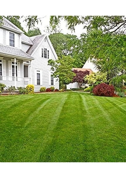 Karışım Ithal Çim Tohumu - 5 kg fiyatları