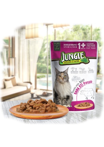 Kısır Kedi Biftekli 100 g Pouch