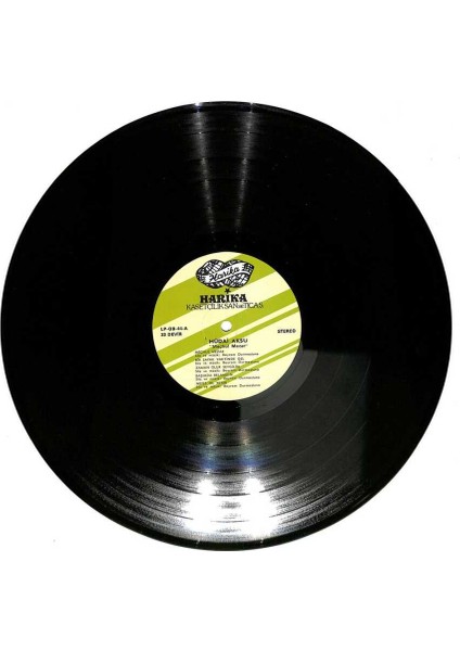 Hüdai Aksu - Meçhul Mezar (Dönem Baskı) Lp Plak (108.5) PLK22061 modelleri