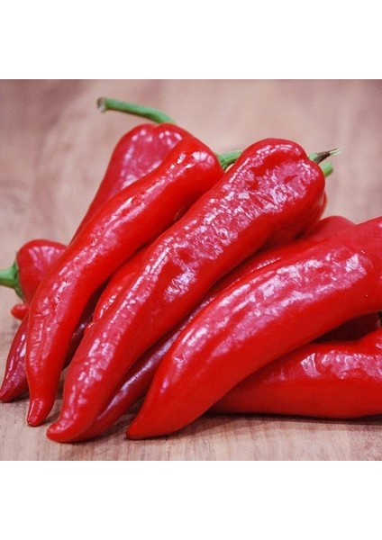 Verimli Acı Samandağ Biber Fidesi (5 Adet)