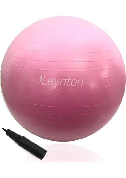 Büyük Boy Pilates Topu 65 cm Pompa Hediyeli LYT-117