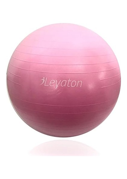 Büyük Boy Pilates Topu 65 cm Pompa Hediyeli LYT-117 fiyatları