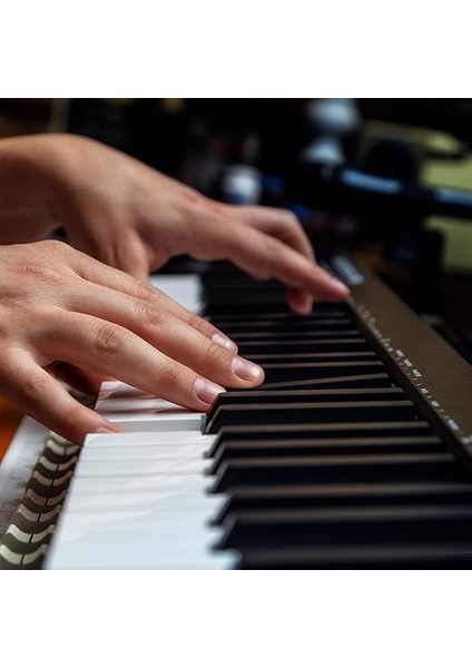 Keystation 61 Mk3 61-Tuş Kompakt USB Beslemeli Mıdı Keyboard Kontroller, Atanabilir Kontroller, Pitch - Modülasyon Tekerleği, Tak-Çalıştır (Mac ve Pc), Zengin Yazılım Desteği fırsatları