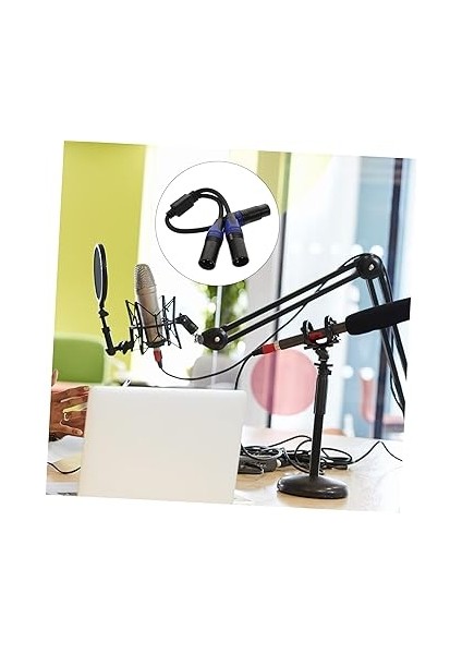 Sessiz Y Kablosu 1 Dişi - 2 Erkek 3 Pinli Kablolar Mikrofon Gitar ve Stüdyo Ekipmanları Için fırsatları