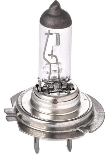 Ampul H7 12V 55W PX26D Eco Far Universal fiyatları