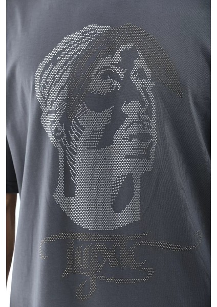 Unisex Oversize Taşlı Bisiklet Yaka T-Shirt - Füme modelleri