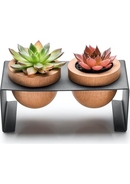 Metal Stantlı 2’li Skulent Saksısı – Siyah Metal Stant ve Meşe Saksılar, Modern Tasarım, Dekoratif Çiçek Saksılığı, Skulent ve Kaktüs Için Şık Saksı, Ev ve Ofis Dekoru fırsatları