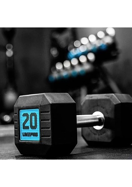 Premium Dambıl indirimleri