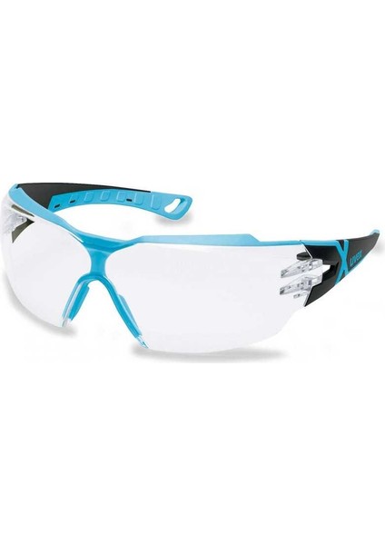 Pheos Cx2 9198256 Koruyucu Iş Güvenliği Gözlüğü