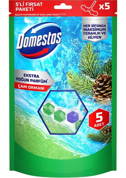 Wc Blok Çam Ferahlığı 5 x 50 G