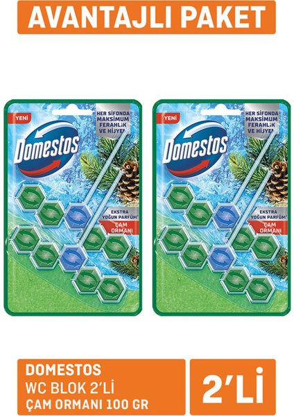Wc Blok 2'li Çam Ferahlığı 2X100 G