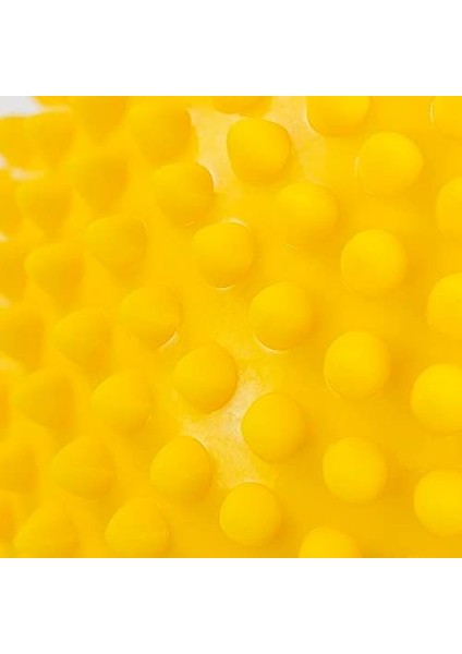 Usr Mini Denge Topu fiyatları