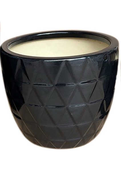 Gardenzone Küçük Boy Seramik Saksı (HG23-280) 15,5 cm 2 Adet