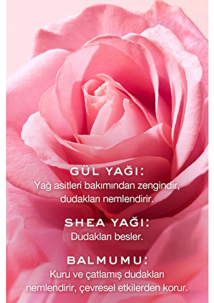Very Rose Dudak Balmı Nemlendirici Etki 15 gr Hassas Ciltler İçin indirimleri