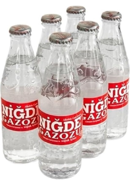 Niğde Gazozu 250 ml 6'lı