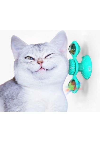 Pet Malzemeleri Vantuzlu Fırıldak Toplu Dönen Şeffaf Depo Tasarım Interaktif Kedi Oyuncağı ( fiyatları