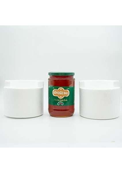 Köyceğiz Çam Balı 850 gr fiyatları