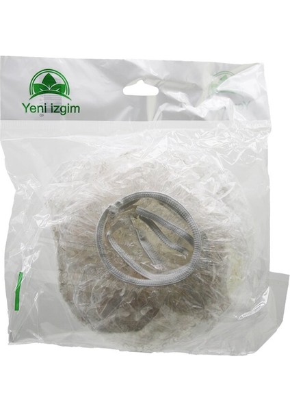 10 Pcs Tencere Bonesi (4940)