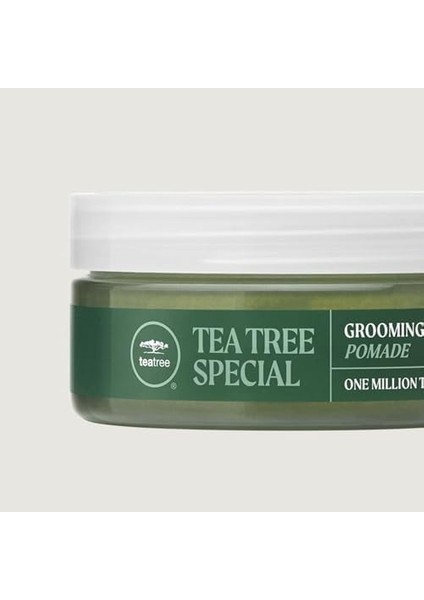 Tea Tree Paul Mitchell Special Grooming Esnek Şekillendirici Pomat 85 gr fiyatları