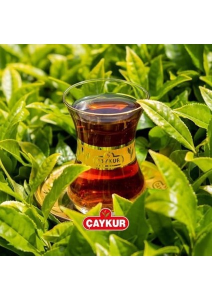 Çaykur Rize Turist Çayı 2000G modelleri