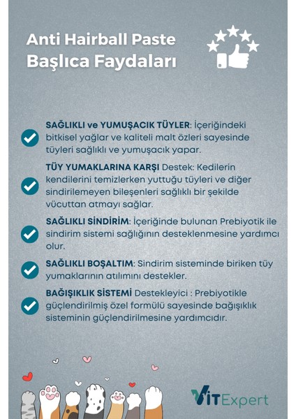 Anti Hairball Malt Paste Tüm Kediler Için Tüy Yumağı Önleyici Sindirime Yardımcı Malt Macun 100 gr fırsatları