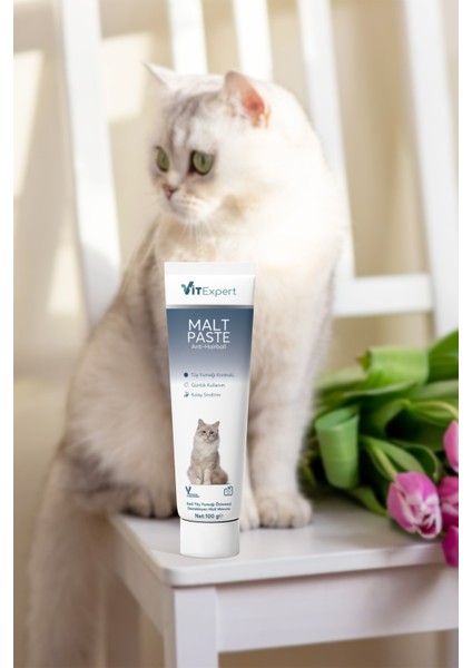Anti Hairball Malt Paste Tüm Kediler Için Tüy Yumağı Önleyici Sindirime Yardımcı Malt Macun 100 gr