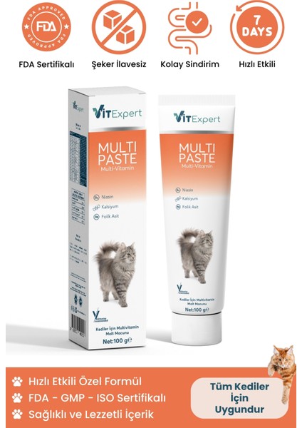 Multi Paste Tüm Kediler Için Multi Vitamin Tüy Sağlığı Destekleyici Malt Macun 100 gr