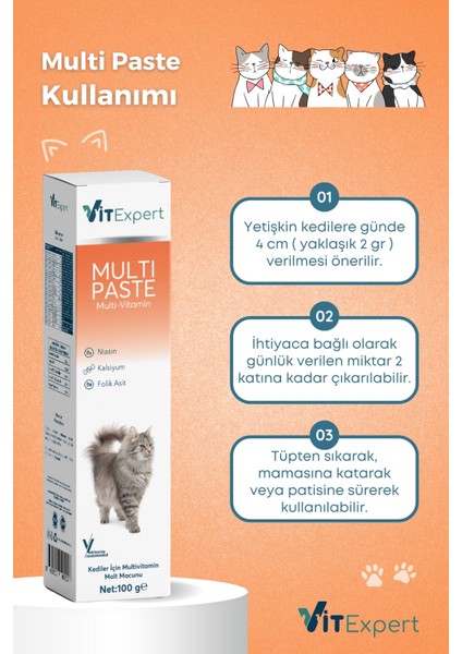 Multi Paste Tüm Kediler Için Multi Vitamin Tüy Sağlığı Destekleyici Malt Macun 100 gr fırsatları