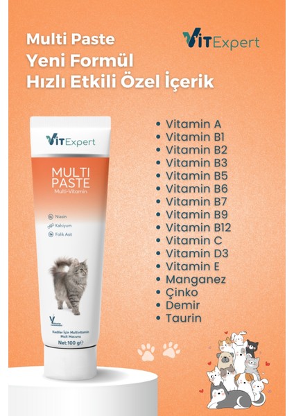 Multi Paste Tüm Kediler Için Multi Vitamin Tüy Sağlığı Destekleyici Malt Macun 100 gr