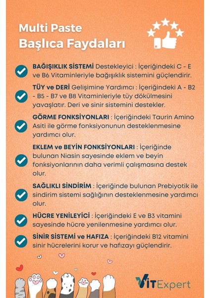Multi Paste Tüm Kediler Için Multi Vitamin Tüy Sağlığı Destekleyici Malt Macun 100 gr