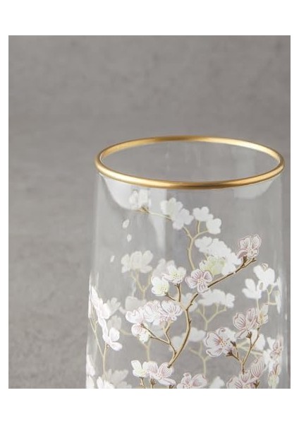 Cam Şeffaf fiyatları