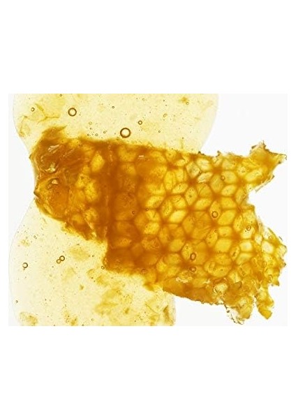 Burt's Bees Dudak Bakım Kremi fiyatları