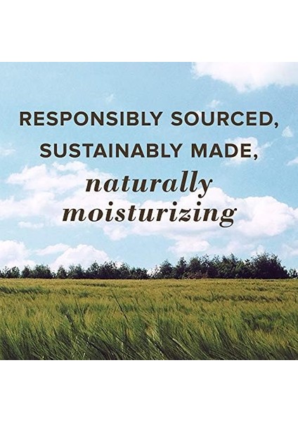 Burt's Bees Dudak Bakım Kremi modelleri