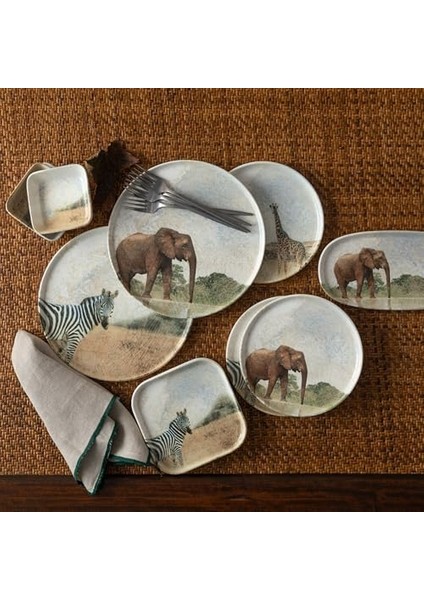 Concept Kare Tabak 22CM-ZEBRA fiyatları