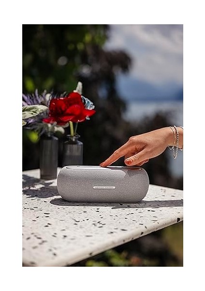 Kardon Luna, Hoparlör, Gri modelleri