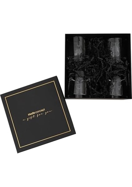 Concept Set modelleri