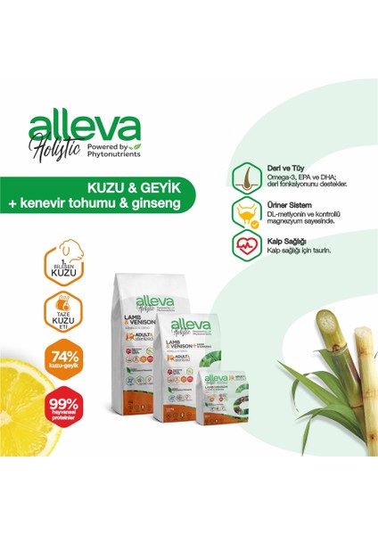 Holistik Kuzulu & Geyikli Tahılsız Orta-Büyük Irk Yetişkin Köpek Maması 2 Kg fiyatları