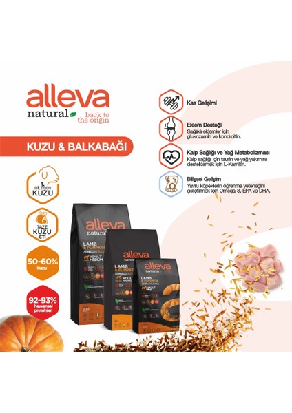 Natural Kuzulu & Balkabağı Düşük Tahıllı Orta-Büyük Irk Yetişkin Köpek Maması 2 Kg fiyatları