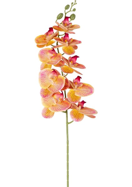 Yapay Orkide Gerçek Dokunuş Pembe-Sarı 95 Cm.