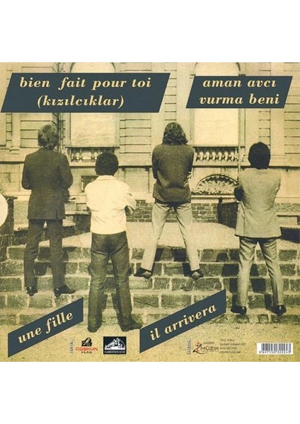 Barış Manço Les Mistigris Kızılcıklar Oldu Mu 45LIK Plak fiyatları