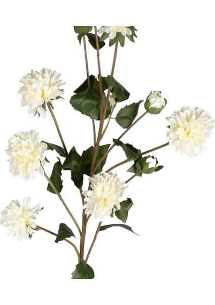 Krizantem Beyaz 77 Cm. modelleri
