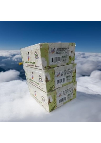 Lux Pamuklu Kulak Çubuğu, 3 Paket, Toplam 600 Adet