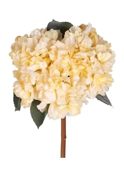 Ortanca Kurumuş Efektli Sarı 65 Cm. fiyatları