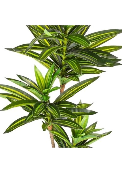 Yapay Dracena Gerçek Dokulu 72 Cm. fiyatları