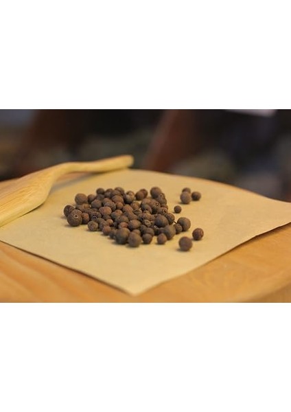 Yenibahar 50GR | Tane | Haven Herbs & Blends fiyatları